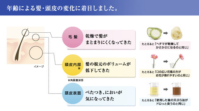 年齢による紙の変化
