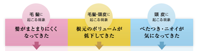 大人の髪と頭皮２